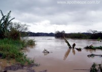 /album/enchente-/sem-titulo-8-jpg/